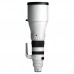 Sigma 300-600mm f/4 DG OS Sport - Sony E-Mount Sigma 300-600mm f/4 DG OS Sport - Sony E-Mount